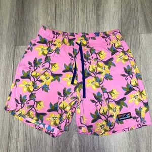 Patagonia Mens Bathing Suit (Board shorts)